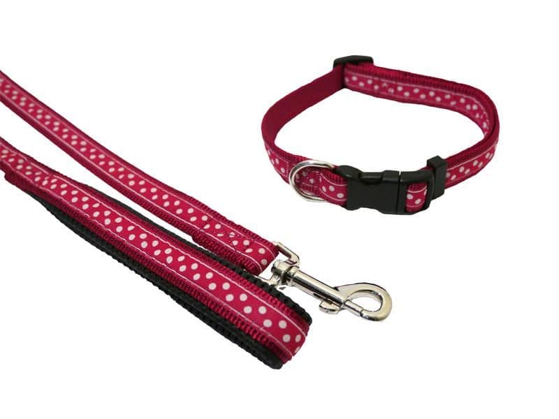 Rosewood Wag 'n' Walk Fashion Leads Red/Spotty (40"x3/4")