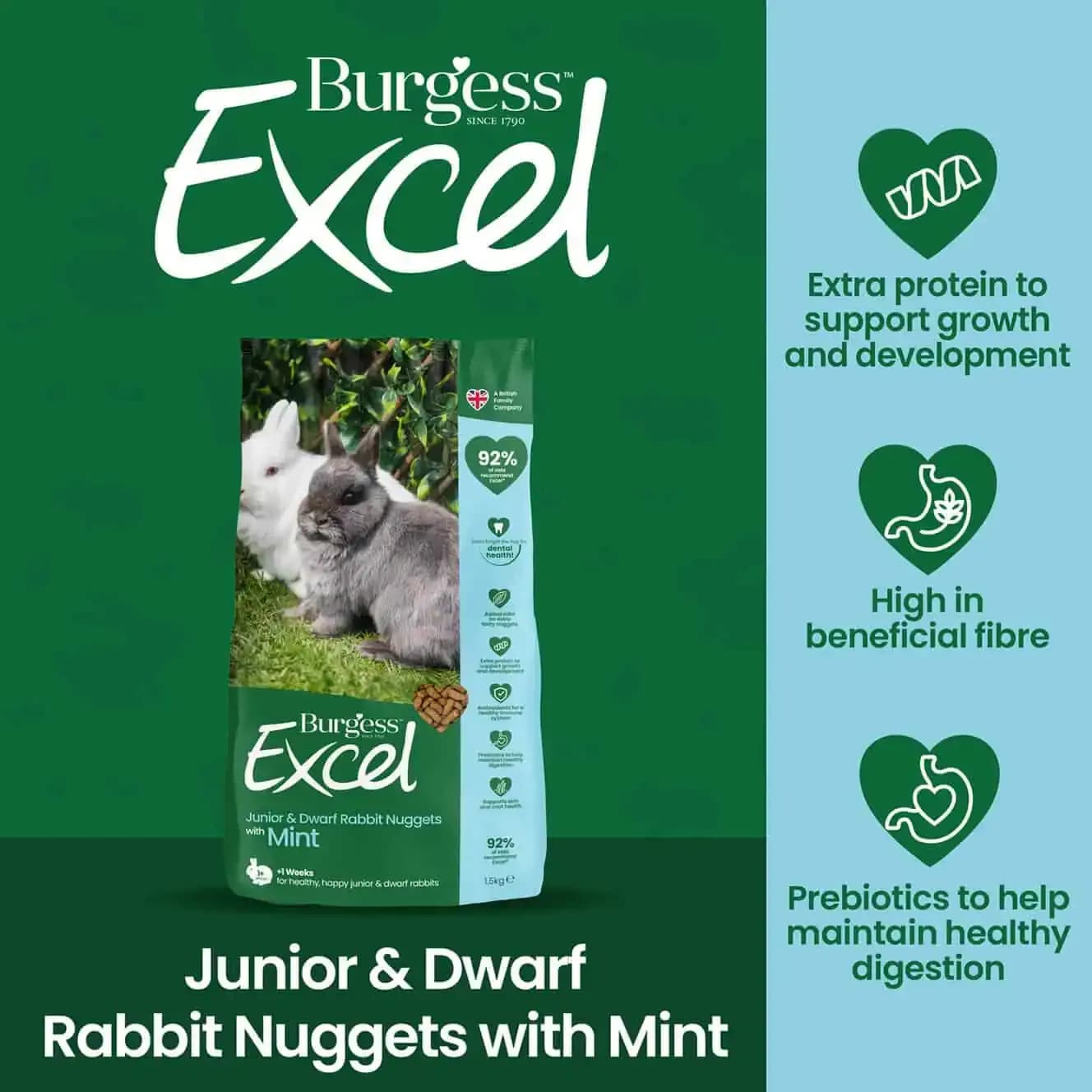 Burgess Excel Junior & Dwarf Rabbit Nuggets with Mint (Eco/KG)