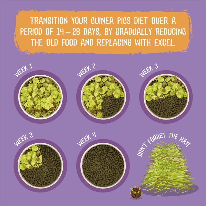 Burgess Excel Adult Guinea Pig Nuggets with Blackcurrant & Oregano (Eco/2KG)