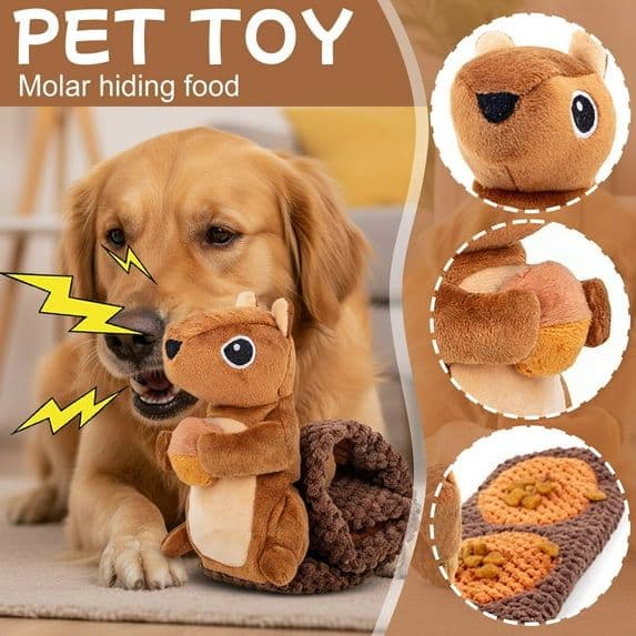 Squeaky Dog Play Toy