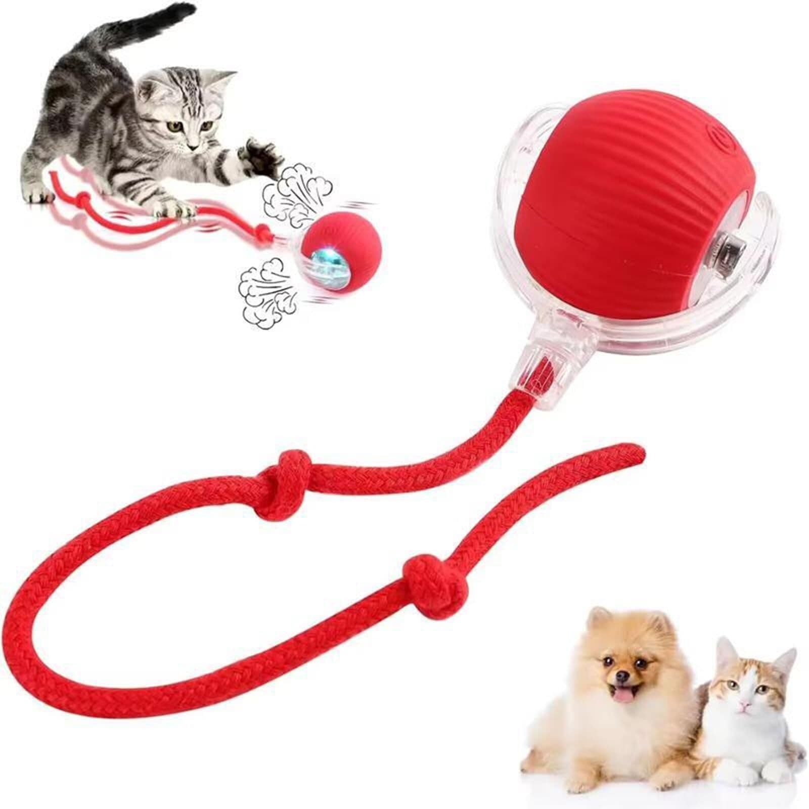 Cat Play Toy With Ball and Tail with Elastic String