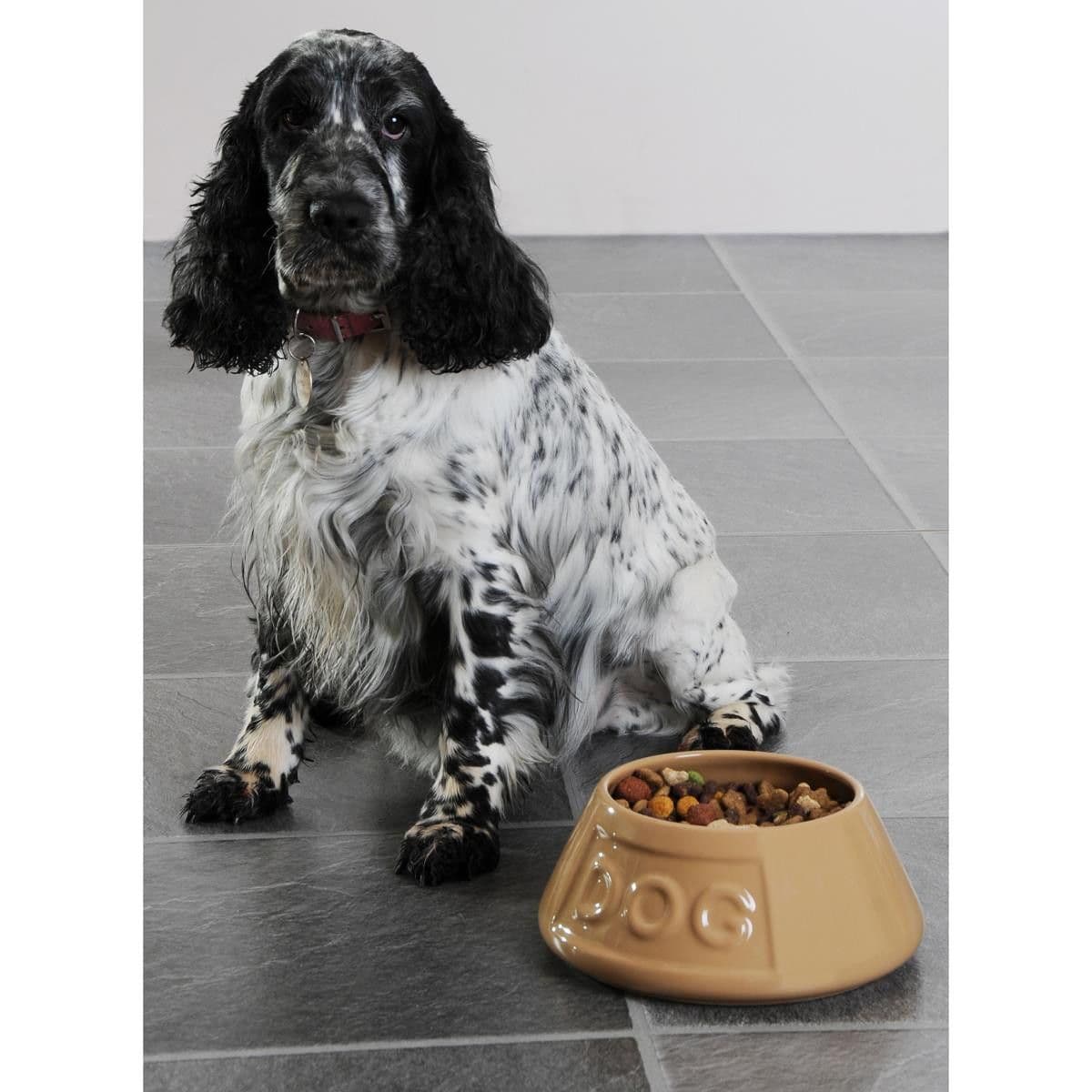 Mason Cash Cane Non Tip Lettered Spaniel Dog Bowl (21cm)