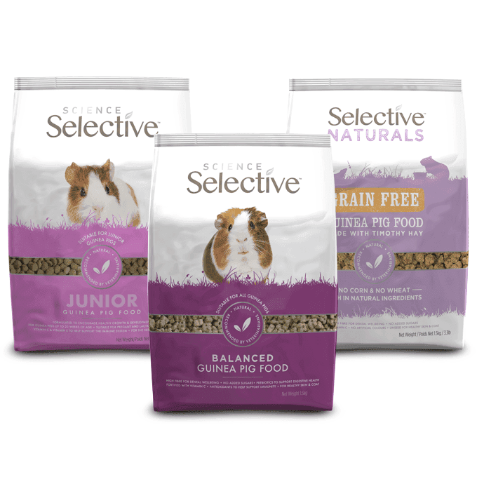 Supreme Science Selective Guinea Pig Food (Eco/KG)