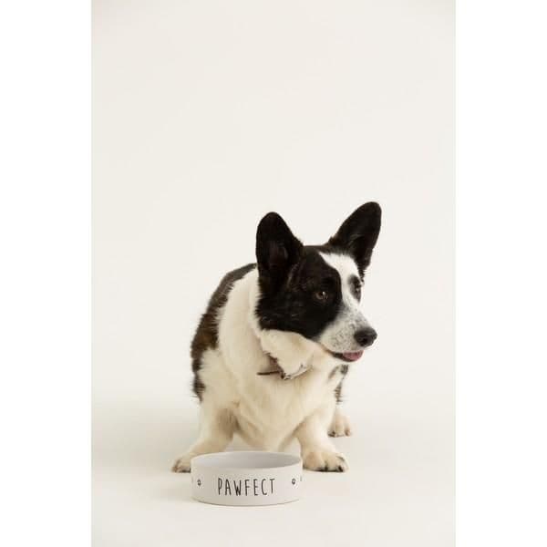 Mason Cash Pawfect Dog Bowl (15x5cm)