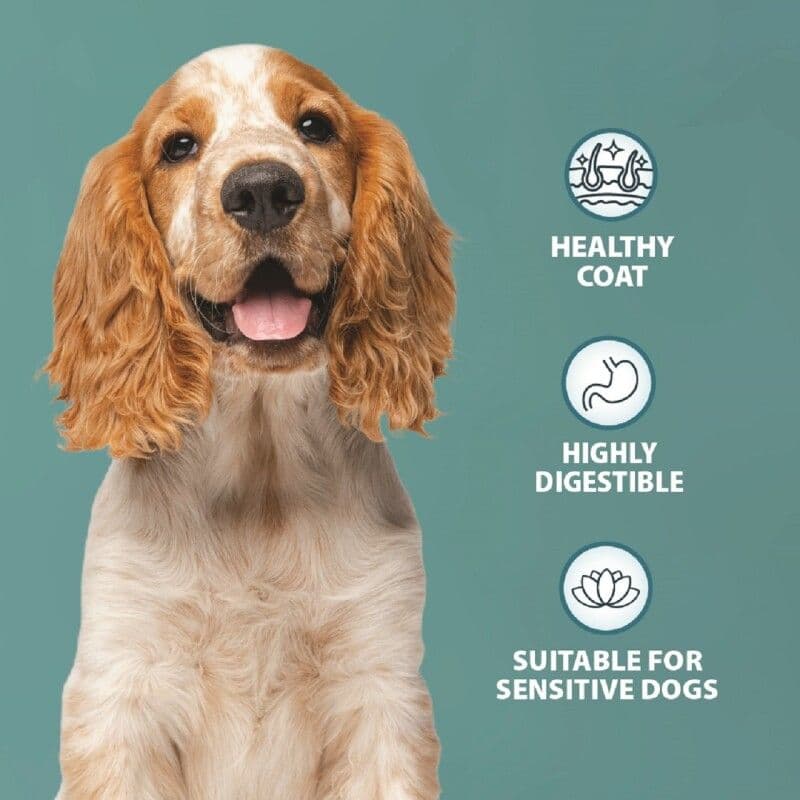 Burns Adult & Senior Dog Sensitive Grain Free Turkey & Potato (Eco/KG)