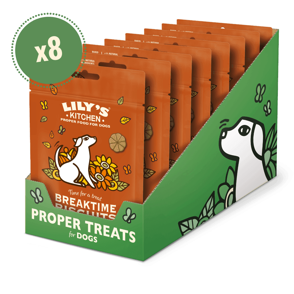 Lilys Kitchen Breaktime Biscuits (80g)