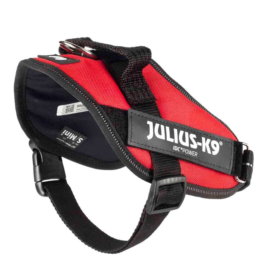 Julius IDC Powerharness Red (2)