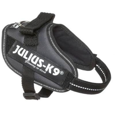 Julius IDC Powerharness Grey (1)
