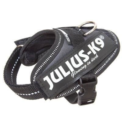 Julius IDC Powerharness Grey (2)