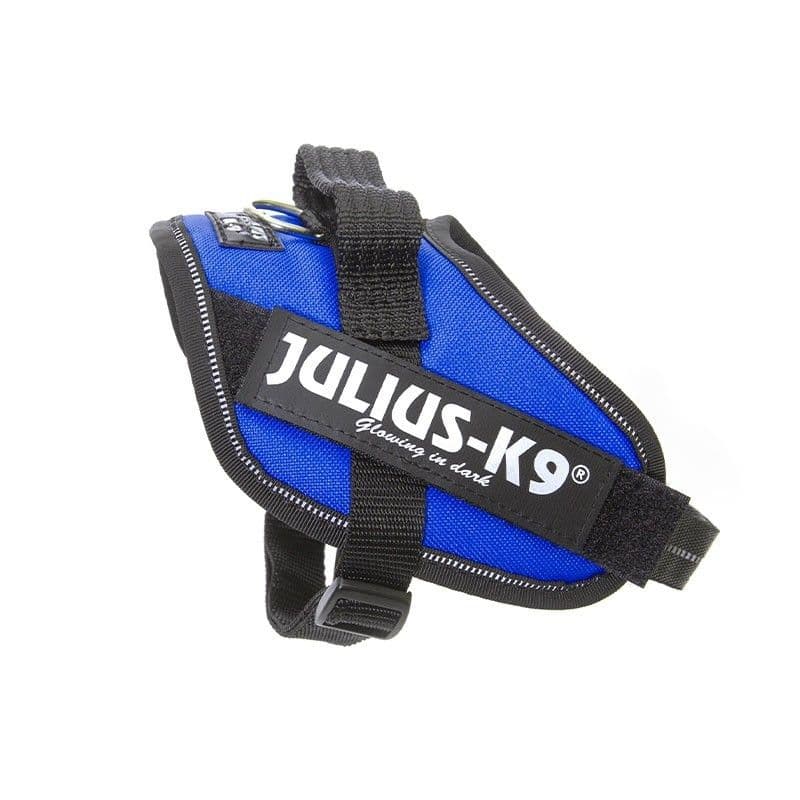 Julius IDC Powerharness Blue (Mini-Mini)