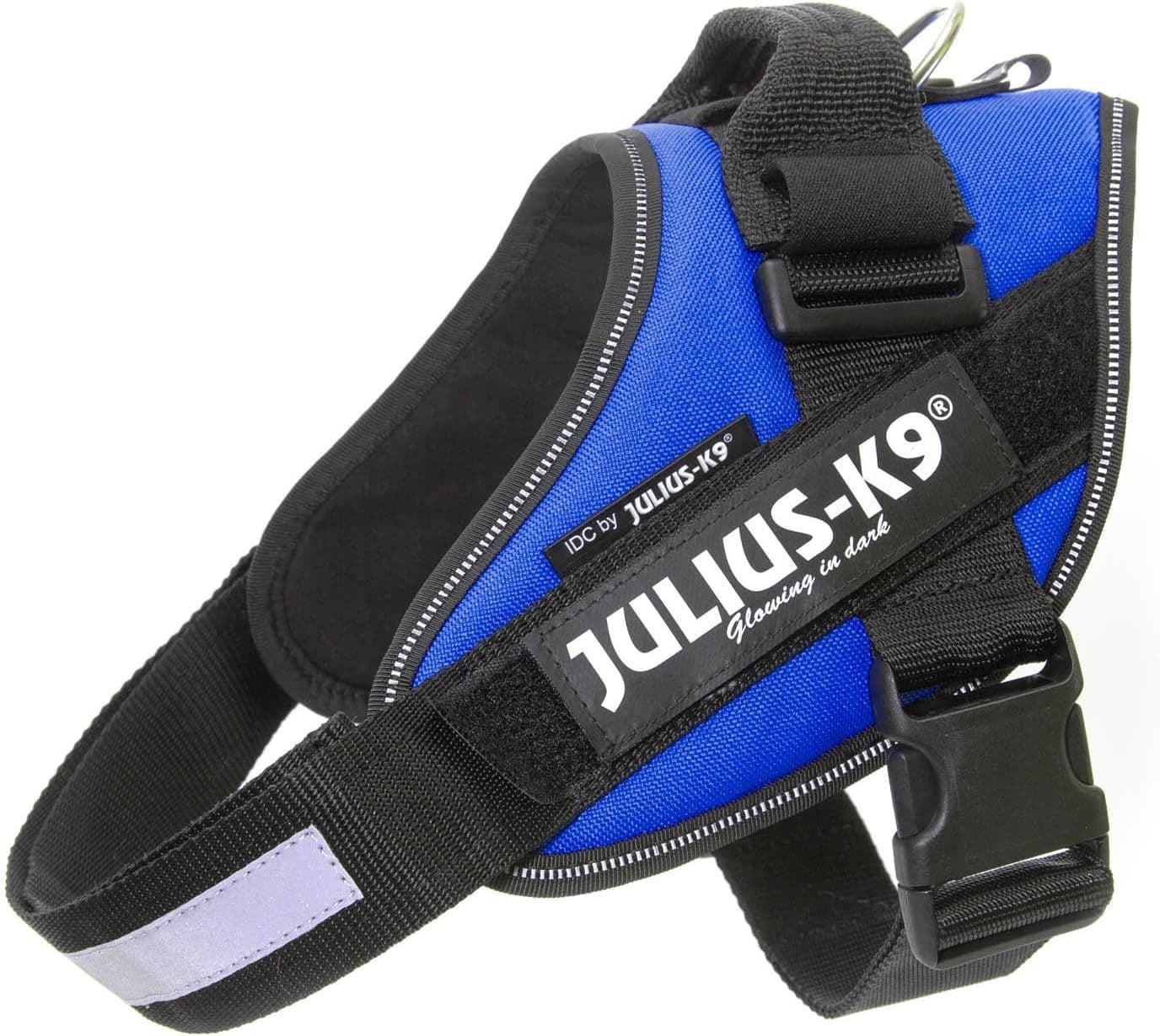 Julius IDC Powerharness Blue (3)