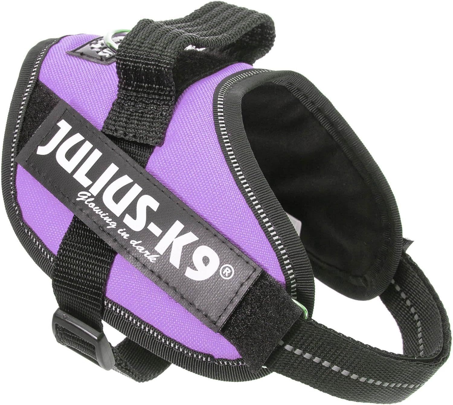 Julius IDC Powerharness Purple (2)