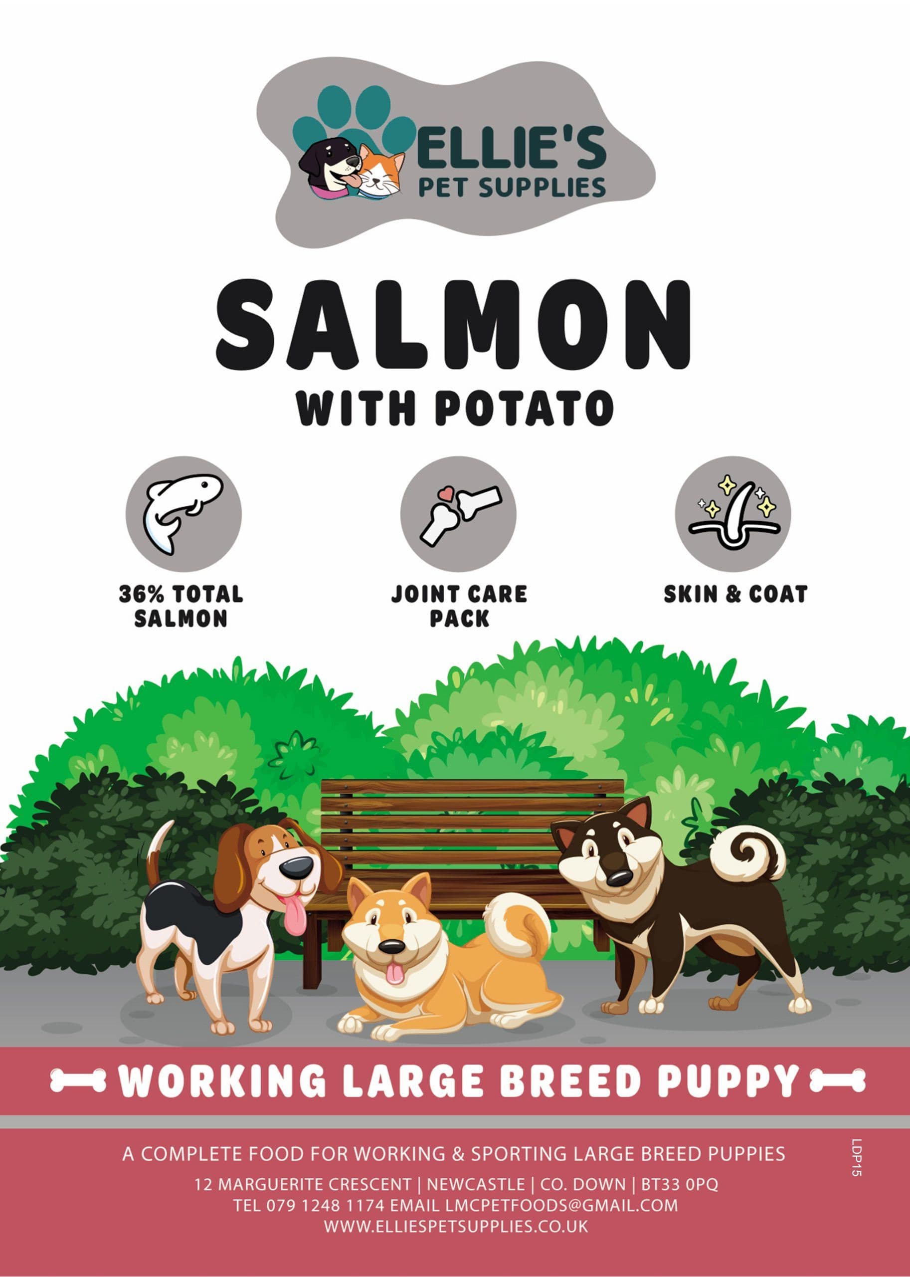 Mega Pet Super Premium Adult Working Dog Salmon & Potato (Eco/KG)