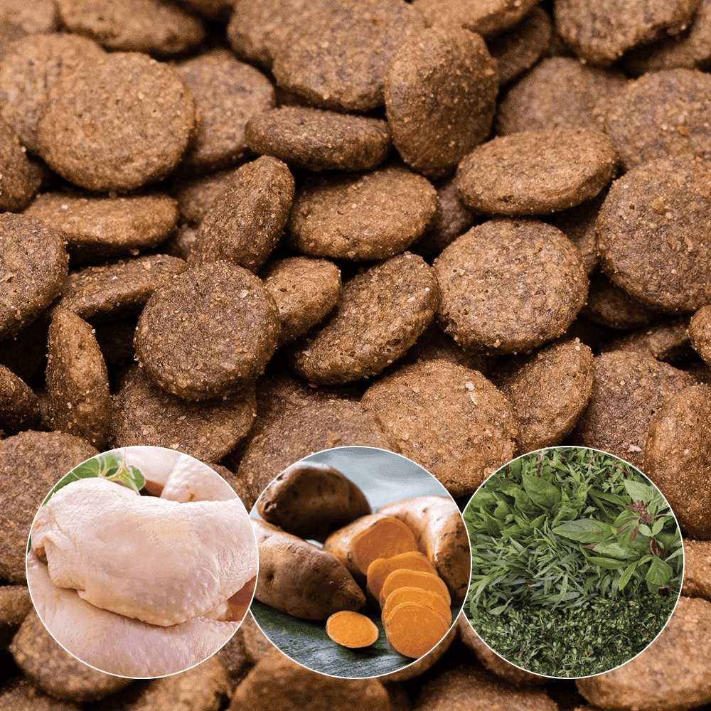 Mega Pet Adult Working Dog Grain Free Chicken Sweet Potato & Herbs (Eco/KG)