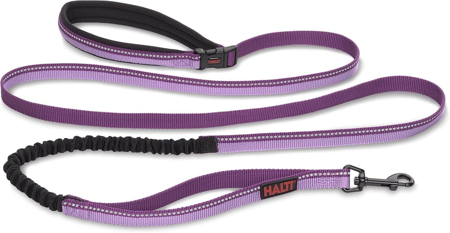 Company of Animals HALTI Active Lead Purple (Small)