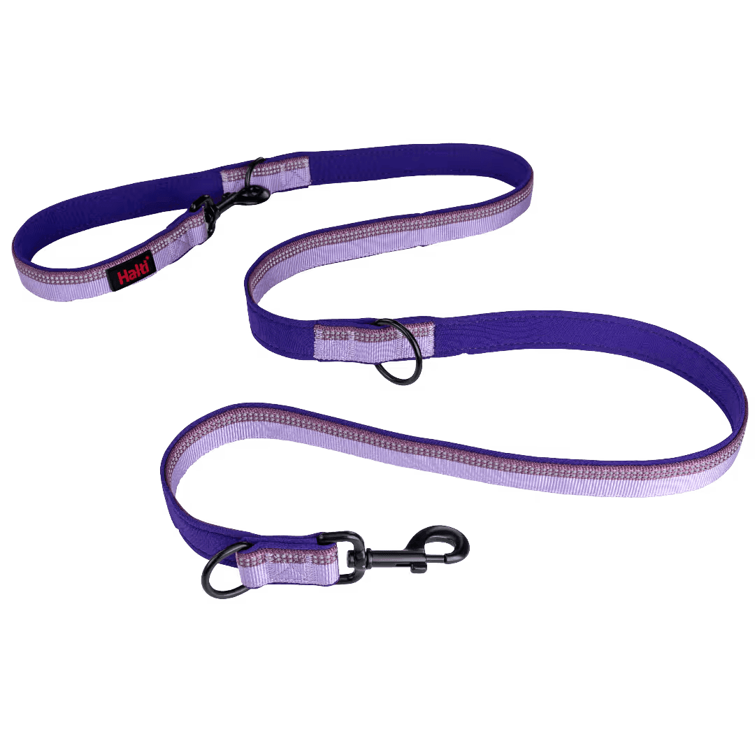 Company of Animals HALTI Double Ended Lead Purple (Large)