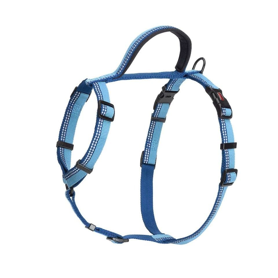 Company of Animals HALTI Walking Harness Blue (Medium)