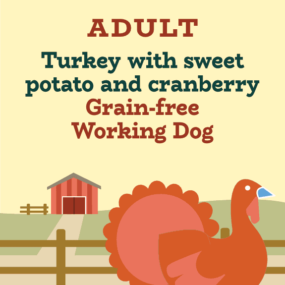 Mega Pet Working Dog Senior/Light Grain Free Turkey With Sweet Potato & Cranberry (Eco/KG)