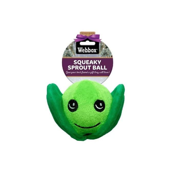 Rosewood Christmas Squeaky Sprout