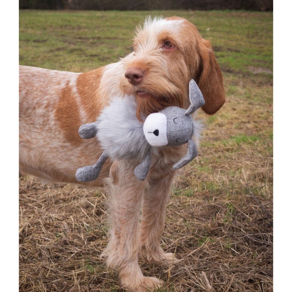 Rosewood Floppy Festive Dog