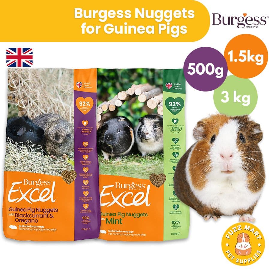 Burgess Excel Adult Guinea Pig Nuggets with Mint (3kg)
