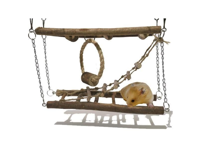 Rosewood Activity Suspension Bridge