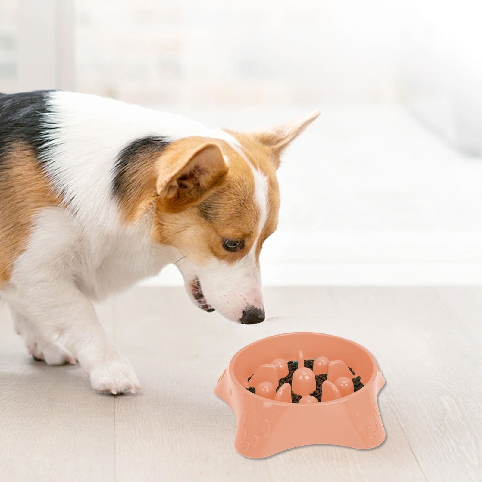 Classic Non Slip Slow Feeder (Large/11”)